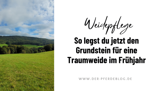 Weidepflege - So legst du jetzt den Grundstein für eine Traumweide im Frühjahr