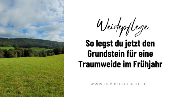 Weidepflege - So legst du jetzt den Grundstein für eine Traumweide im Frühjahr