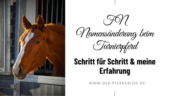 FN Namensänderung beim Turnierpferd Schritt für Schritt & meine Erfahrung
