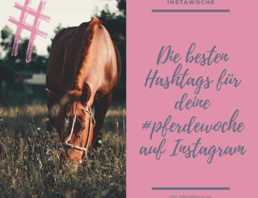 Die besten Hashtags für deine Pferdewoche auf Instagram