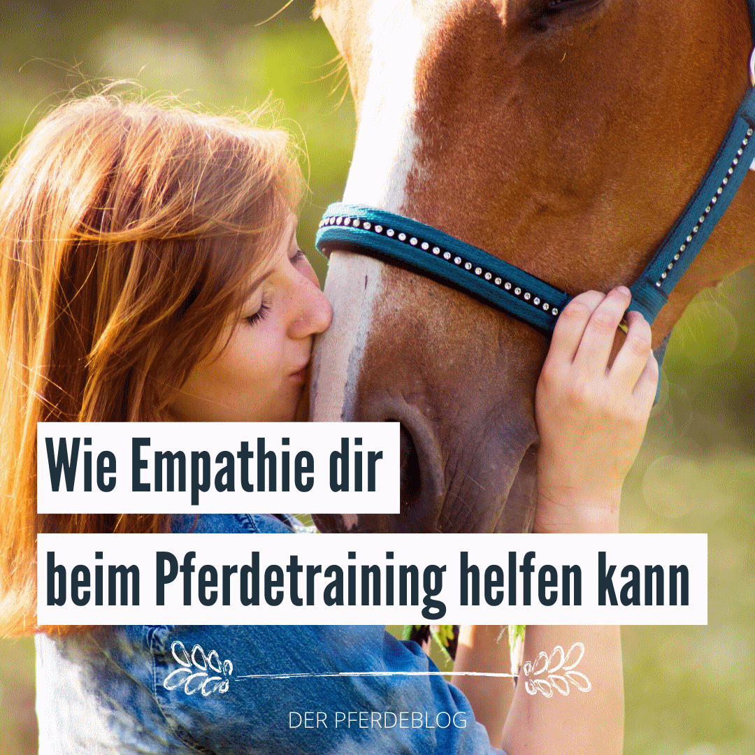 Wie Empathie dir beim Pferdetraining helfen kann