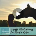15 tolle Videotrainings für Pferd & Reiter