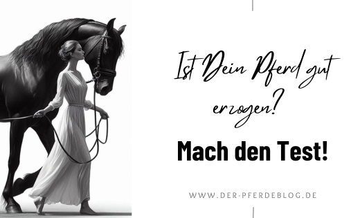 Ist dein Pferd gut erzogen? Mach den Test