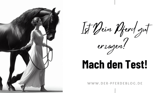 Ist dein Pferd gut erzogen? Mach den Test