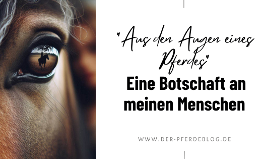 Aus den Augen eines Pferdes. Botschaft an meinen Menschen