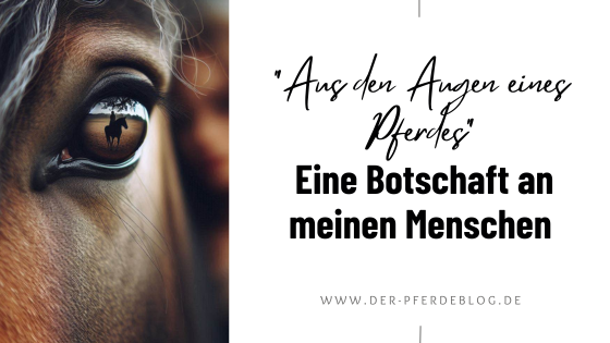 Aus den Augen eines Pferdes. Botschaft an meinen Menschen