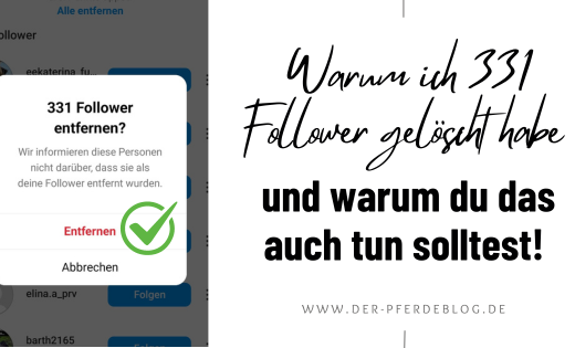 Der Pferdeblog - Warum ich 350 Follower gelöscht habe und warum du das auch tun solltest!