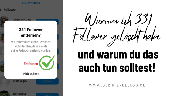 Der Pferdeblog - Warum ich 350 Follower gelöscht habe und warum du das auch tun solltest!