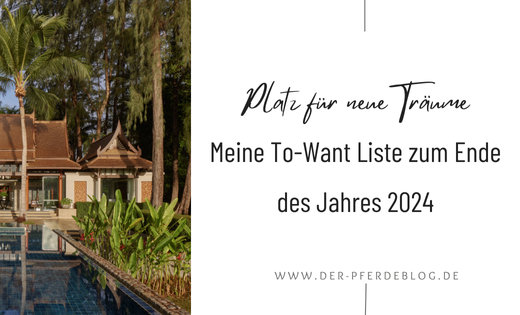 Meine To Want Liste 2024