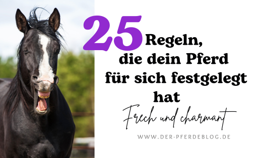 25 Regeln, die dein Pferd für sich festgelegt hat Frech und charmant