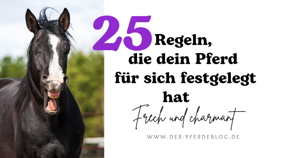 25 Regeln, die dein Pferd für sich festgelegt hat Frech und charmant