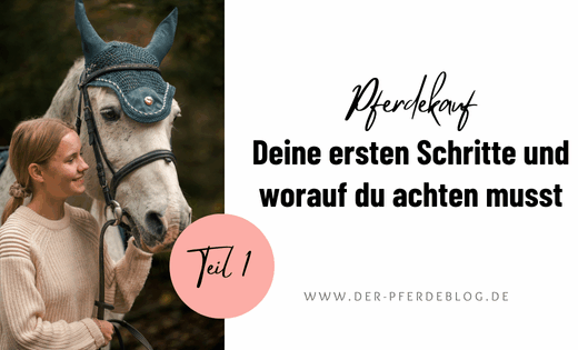 Pferdekauf - Deine ersten Schritte und worauf du achten musst