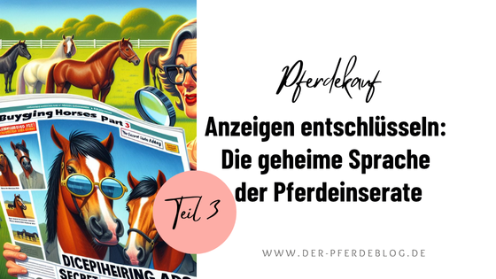 Pferdekauf Teil 3 Anzeigen entschlüsseln Die geheime Sprache der Pferdeinserate