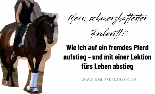 Der Pferdeblog - Mein schmerzhaftester Proberitt Wie ich auf ein fremdes Pferd stieg und mit einer Lektion fürs Leben abstieg