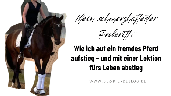 Der Pferdeblog - Mein schmerzhaftester Proberitt Wie ich auf ein fremdes Pferd stieg und mit einer Lektion fürs Leben abstieg