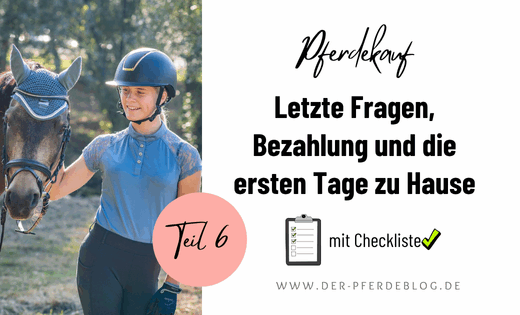 Pferdekauf Teil 6 Letzte Fragen, Bezahlung und die ersten Tage im neuen Zuhause