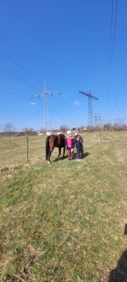 Familie Abschied von Barbapapa