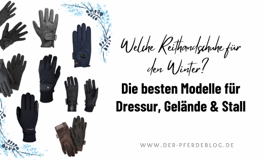 Welche Reithandschuhe für den Winter? Die besten Modelle für Dressur, Gelände & Stall