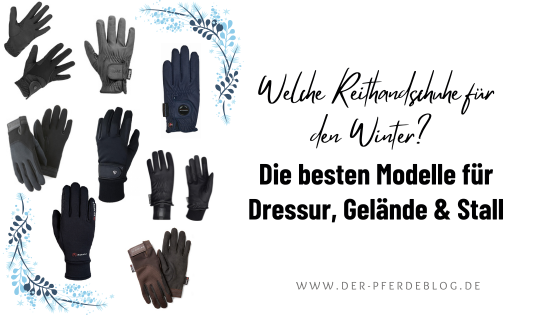 Welche Reithandschuhe für den Winter? Die besten Modelle für Dressur, Gelände & Stall
