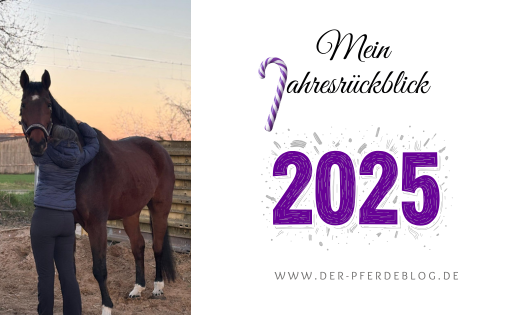 Jahresrückblick 2025