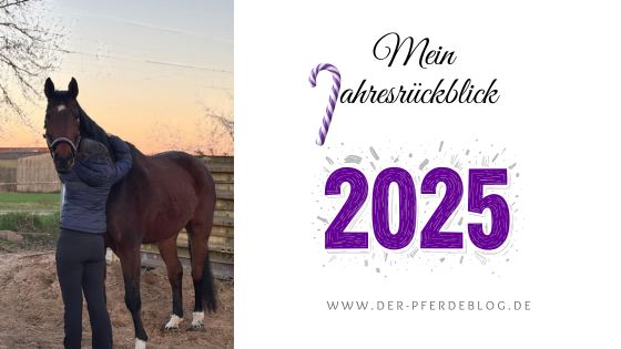 Jahresrückblick 2025
