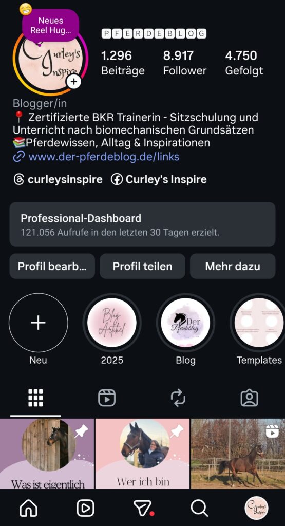 Instagram Profil CurleysInspire