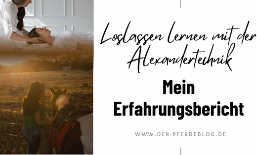 Alexandertechnik - Meine Erfahrungen