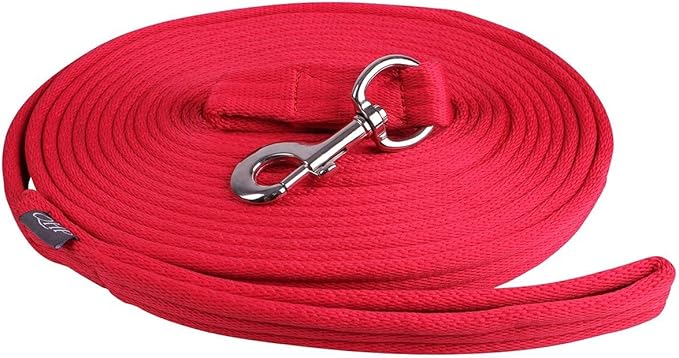 Longierleine rot