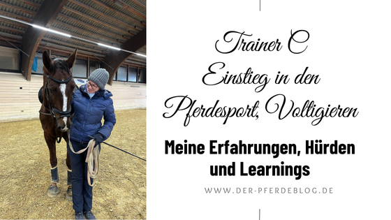 Mein Weg zum Trainer C Einstieg in den Pferdesport, Voltigieren
