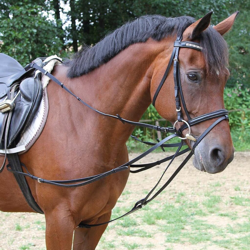Braunes Pferd mit Dreieckszügeln
