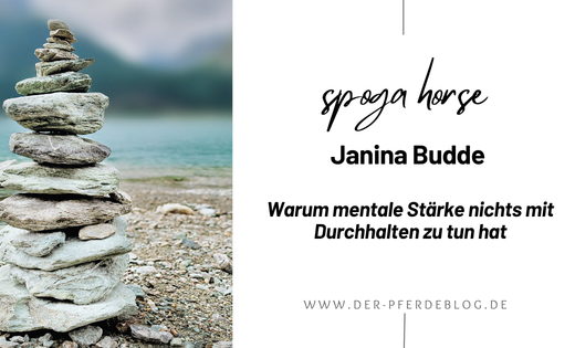 Janina Budde - Warum mentale Stärke nichts mit Durchhalten zu tun hat