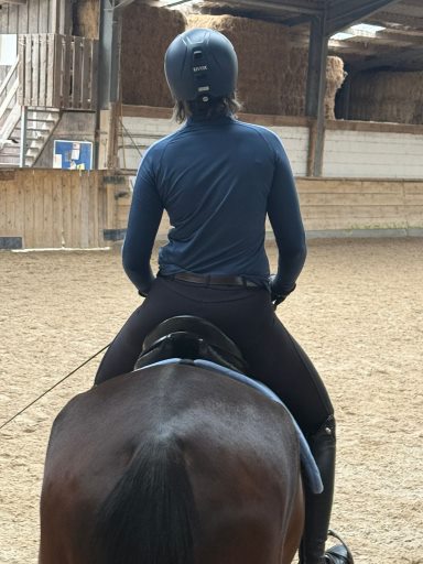 Reiterin auf einem dunklen Pferd in der Reithalle - Ansicht von hinten. Die Reiterin zeigt das falsche Sitzmuster "Einknicken in der Hüfte"