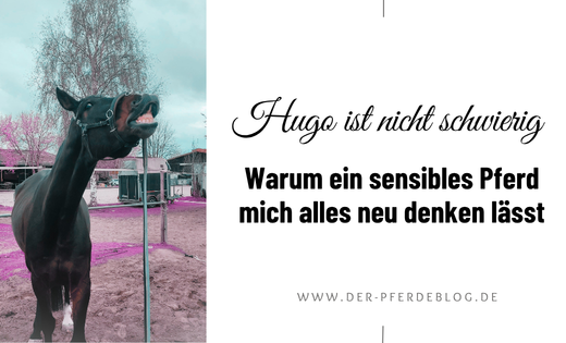 Grafik für den Blogbeitrag „Hugo ist nicht schwierig – Warum ein sensibles Pferd mich alles neu denken lässt“ mit einem Foto des dunkelbraunen Pferdes Hugo, das den Kopf nach oben streckt