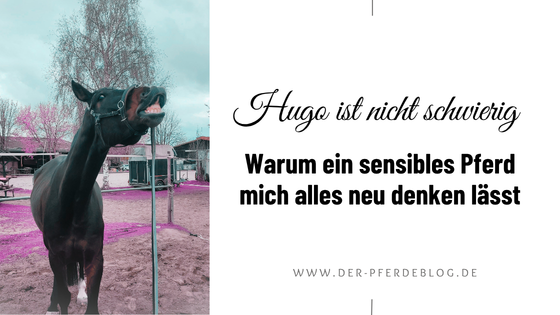 Grafik für den Blogbeitrag „Hugo ist nicht schwierig – Warum ein sensibles Pferd mich alles neu denken lässt“ mit einem Foto des dunkelbraunen Pferdes Hugo, das den Kopf nach oben streckt