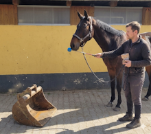 Foto zeigt Target Training mit Pferd Hugo: Ein Mann hält einen Targetstick mit einer blauen Kugel an Hugos Nase. Das sensible Pferd lernt, sich einem unheimlichen Gegenstand (einem verrosteten Baggerlöffel) auf dem gepflasterten Boden anzunähern.