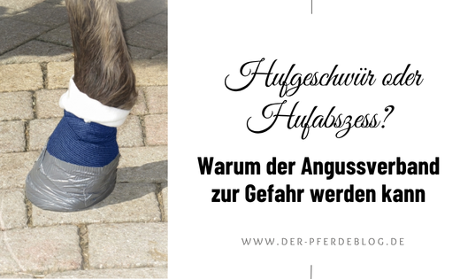 Hufgeschwür oder Hufabszess Warum der Angussverband zur Gefahr werden kann