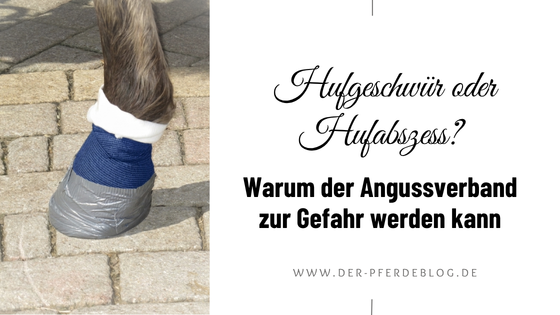 Hufgeschwür oder Hufabszess Warum der Angussverband zur Gefahr werden kann