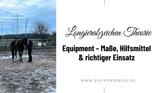Longierabzeichen-Theorie-Equipment-–-Masse-Hilfsmittel-richtiger-Einsatz