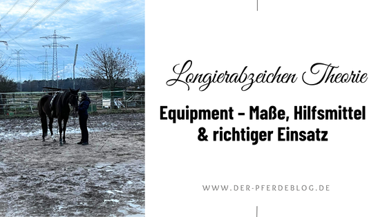 Longierabzeichen-Theorie-Equipment-–-Masse-Hilfsmittel-richtiger-Einsatz