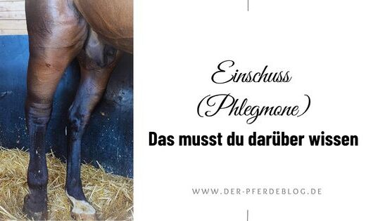 Einschuss (Phlegmone)