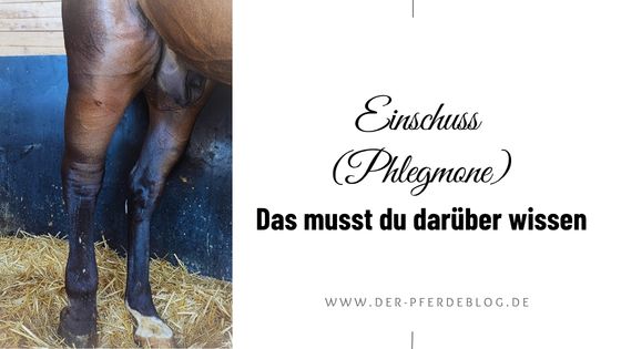 Einschuss (Phlegmone)